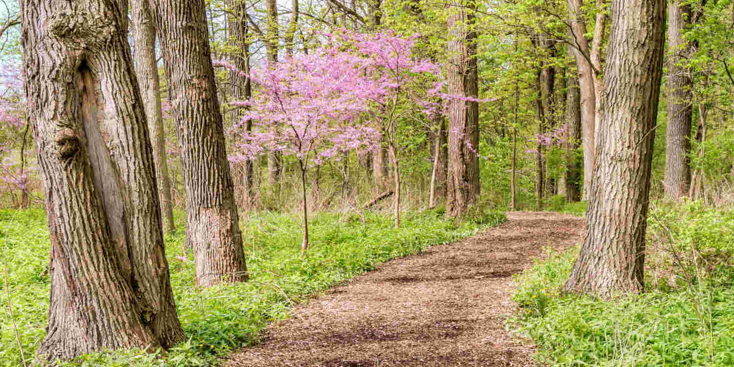 psihološko svetovanje